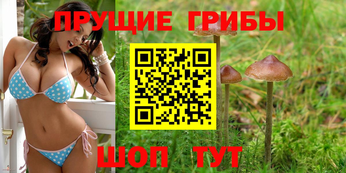 Галлюциногенные грибы ЛСД Южноуральск