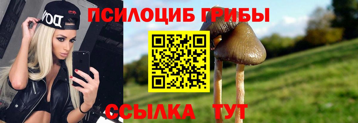 Южноуральск  Галлюциногенные грибы мицелий  Псилоцибиновые грибы Cubensis  Вход с VPN 
